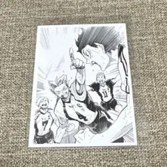 ハイキュー 10th クロニクル 思い出スナップフォトカード 春高 梟谷 集合