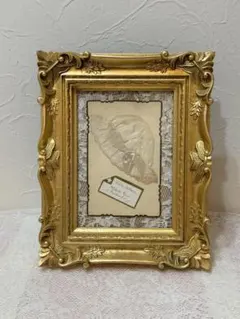 ロココ調 フォトフレーム アンティークポストカードセット フランス