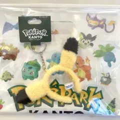 ポケパークカントー　PoKePARK KANTO ピカチュウ　キーホルダー　限定