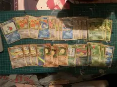 旧裏　サザンアイランド　まとめ　ポケカ　ポケモン