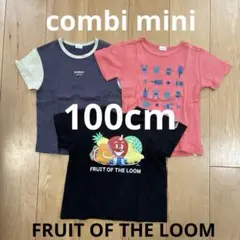 FRUIT OF THE LOOMコンビミニキッズ Tシャツ 3枚セット100のサムネイル