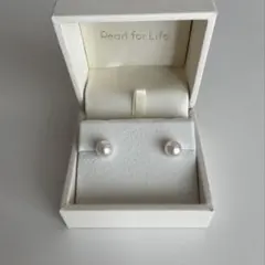 Item thumbnail for item e1cbf572-cc1b-42c3-94c6-3da821032fa1