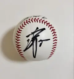 直筆】阪神タイガース 井川慶 サインボール - メルカリ