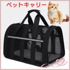 Item thumbnail for item dfafb277-c604-47de-bf4a-f113a282007a