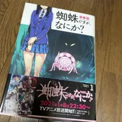 2025年最新】蜘蛛ですが なにか セットの人気アイテム - メルカリ