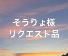 そうりょ様 リクエスト 2点 まとめ商品