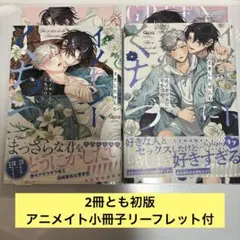 イノセントにくちづけ 1、2 初版 アニメイト 小冊子 リーフレット付き