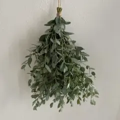 Item thumbnail for item 150129cc-b5d4-4a9d-a6dd-84cd934ed79f