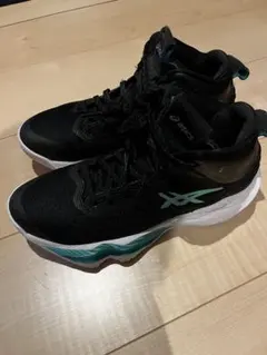 Item thumbnail for item d83056fc-15dd-40f1-a99d-04a0dd6e0e1c