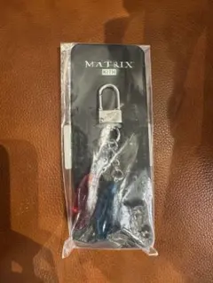 Item thumbnail for item 526db729-1ffb-46a6-988c-b36120117448