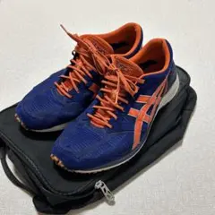 アシックス ターサー 虎走