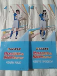 Green Turtle様 リクエスト 2点 まとめ商品