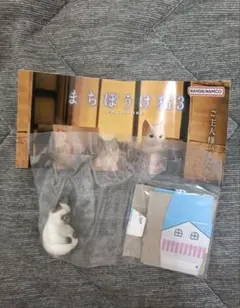 シャム　まちぼうけ猫３