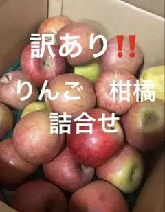 48専用訳あり‼️りんご2種　セミノール　10キロ以内のサムネイル