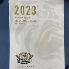 阪神タイガース2025セントラル・リーグ優勝 2023日本一 阪神電車入場券