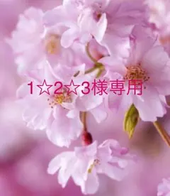 1☆2☆3様専用