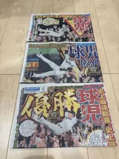 阪神タイガース優勝　 9月8日付　スポーツ新聞3銘柄