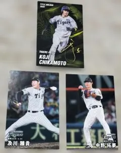 カルビー プロ野球チップス 阪神　近本光司 　中野拓夢　及川雅貴