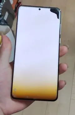 OnePlus 13 落下による液晶壊れ