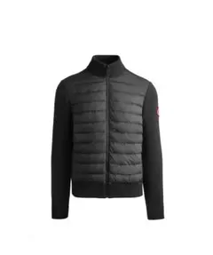 Item thumbnail for item 8d8b0238-991b-4675-87c0-924c3f9b4a17