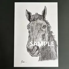 墨絵 原画】静かな眼差し ― 馬（頭から胸）｜ A4 一点もの - メルカリ