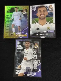 D. Ceballos トレーディングカードセット