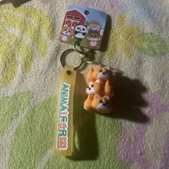 Item thumbnail for item 29835422-e4cb-40df-aac8-6dbae4d9fad1