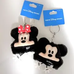 ディズニー ファンキャップ キーホルダー