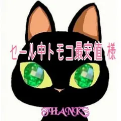 セール中トモコ最安値 様専用