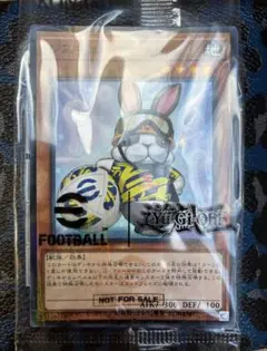 レスキューラビット　ネイマールトークン　未開封