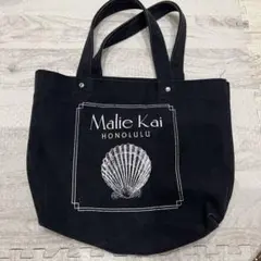 Item thumbnail for item 7b328aa0-d7de-4617-a464-c746b1ff9c11