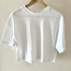 H&M Tシャツ　白　無地　ショート丈　XS