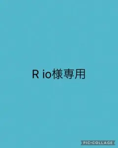 R io様専用