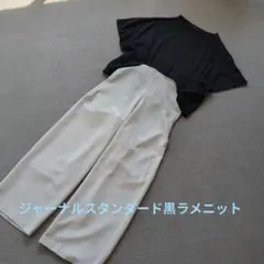 【美品】ジャーナルスタンダード　半袖トップス　ラメ　サマーニット　Tシャツ