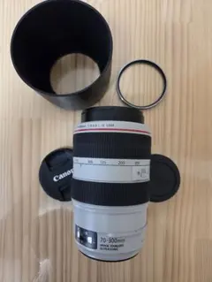 Item thumbnail for item ebd8beff-fd0a-4707-ada5-6bfbb9d77a4e