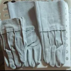 Item thumbnail for item 7c106e18-1d7c-44d6-8566-7082d74980b3