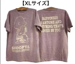 USA製Championチャーリーブラウン×スヌーピー霜降りTシャツ