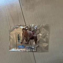 大栄翔勇人 アクリルスタンド キーホルダー