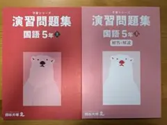 四谷大塚 予習シリーズ 演習問題集 国語 5年上
