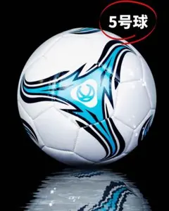 ボール　サッカー　小学生　5号球