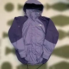 THE NORTH FACE GORETEX 激レア シェルジャケット 海外規格