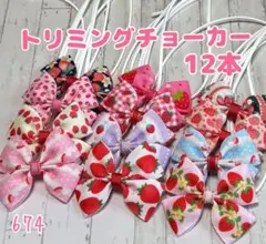 (*˘˘*)『674』❤︎.*トリミングチョーカー 12本