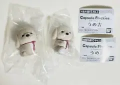 capsule flockies カプセルフロッキーズ　うめ吉　抱き　座りのサムネイル