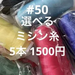 Item thumbnail for item 2871d7e5-aa3e-4cb0-8063-e5573c2f7881