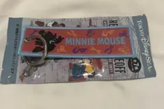 ドリームステイクフライト フライトタグ ミニー　ディズニーシー　キーチェーン