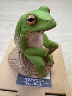 新品 カエルの森工房 陶製 フィギュア いきもの大図鑑 カタツムリ 雨蛙