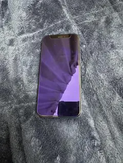 S*Y様 Apple iPhone 12 mini 256G 美品大特価！！