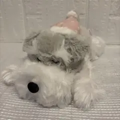 AMUFUN シュナとボブ おやすみメロディギミックのサムネイル