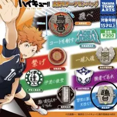 ハイキュー ガチャガチャ ピンバッジ 鴎台