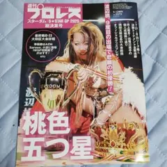 Item thumbnail for item e3859f9b-fbc9-496b-981b-0801403048ee